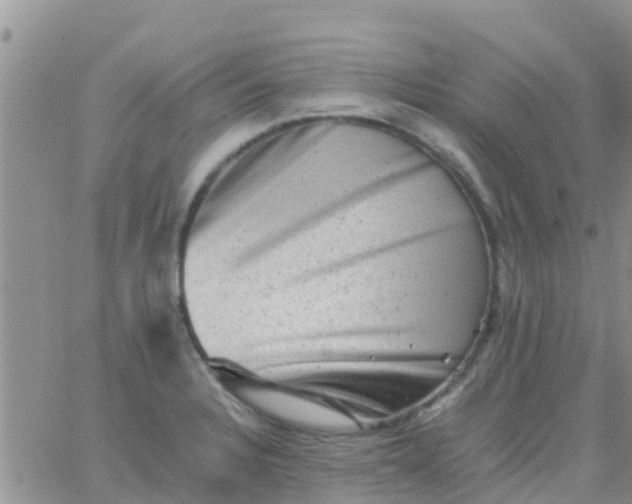 X0000065981328200603172105