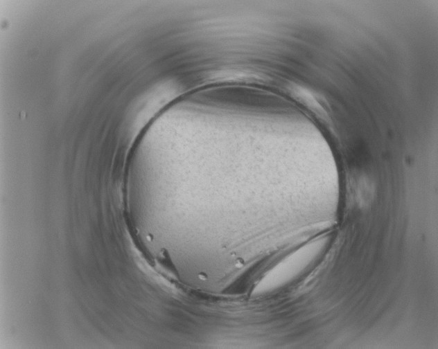 X0000065981330200603172105