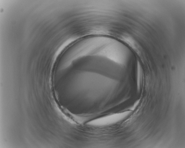 X0000065981331200603172105