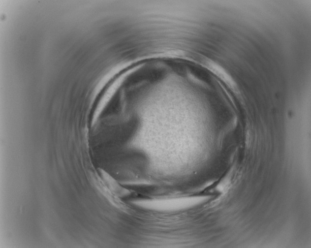 X0000065981332200603172105