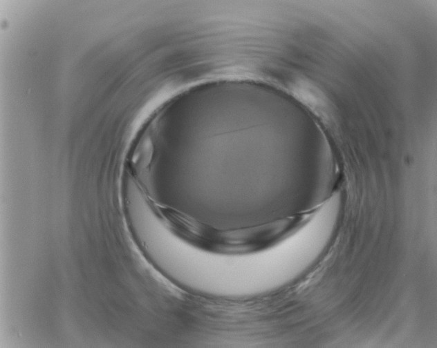 X0000065981334200603172105