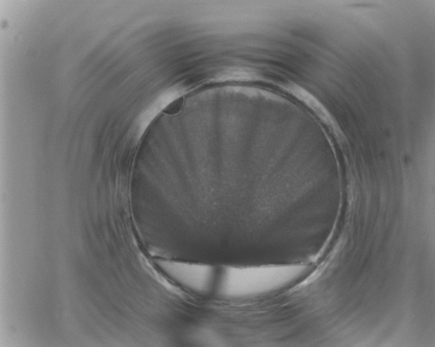 X0000065981337200603172105