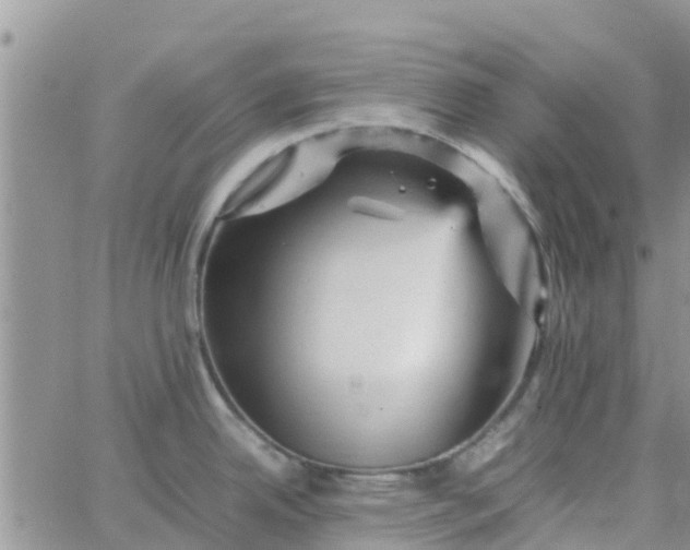 X0000065981342200603172105