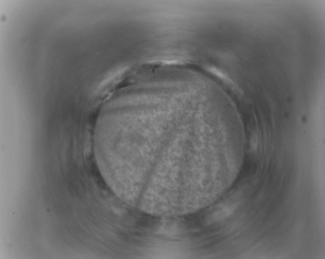 X0000065981350200603172105