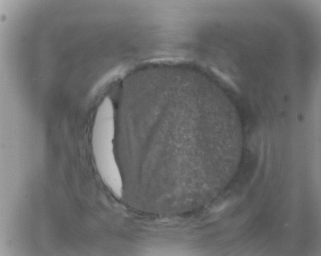 X0000065981351200603172105