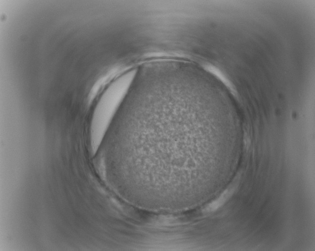 X0000065981357200603172105