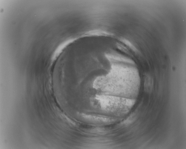 X0000065981358200603172105