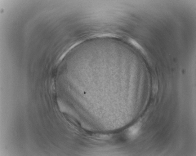 X0000065981361200603172104