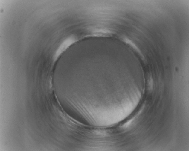 X0000065981362200603172104