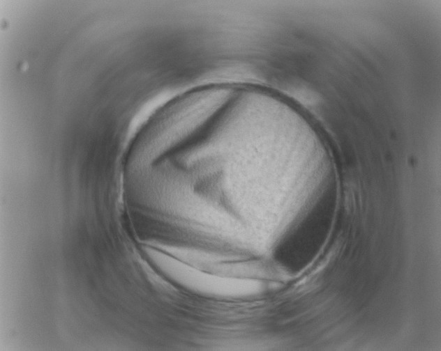 X0000065981366200603172104