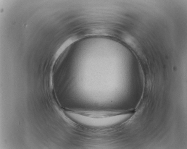 X0000065981370200603172104