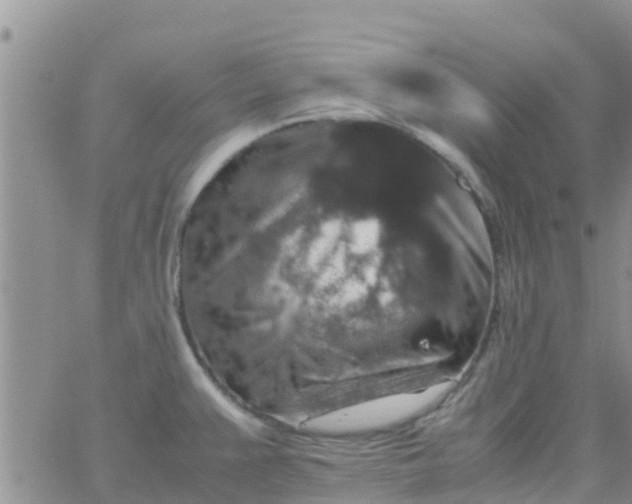 X0000065981383200603172104