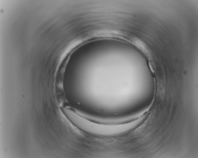 X0000065981384200603172104