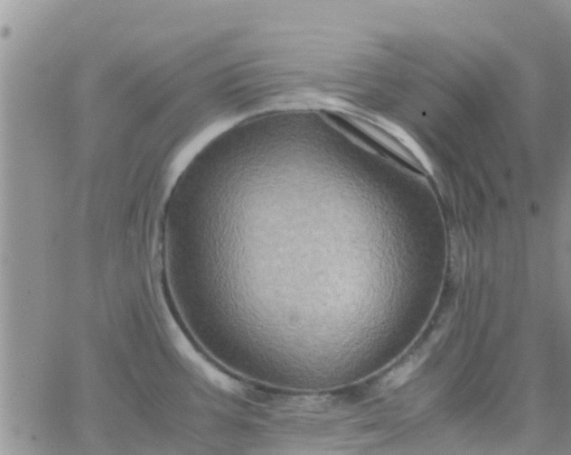 X0000065981387200603172104