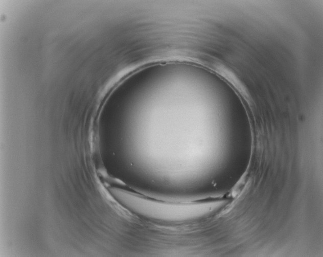 X0000065981388200603172104