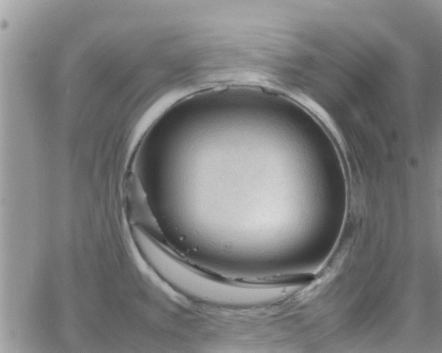 X0000065981389200603172104