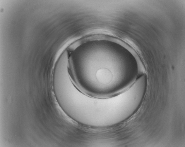 X0000065981392200603172104