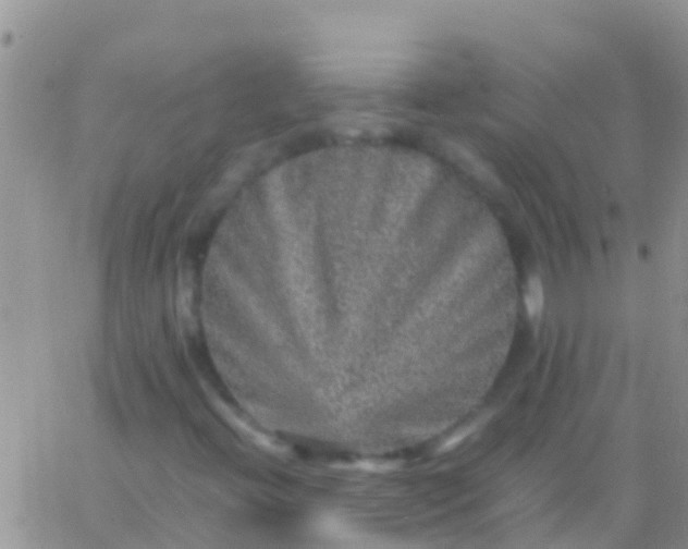 X0000065981396200603172103