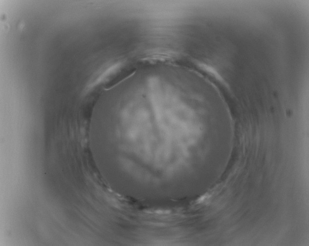 X0000065981399200603172103