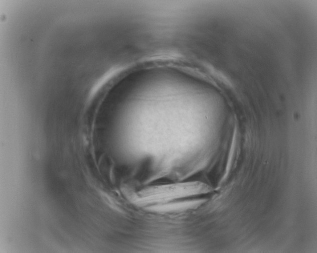 X0000065981400200603172103