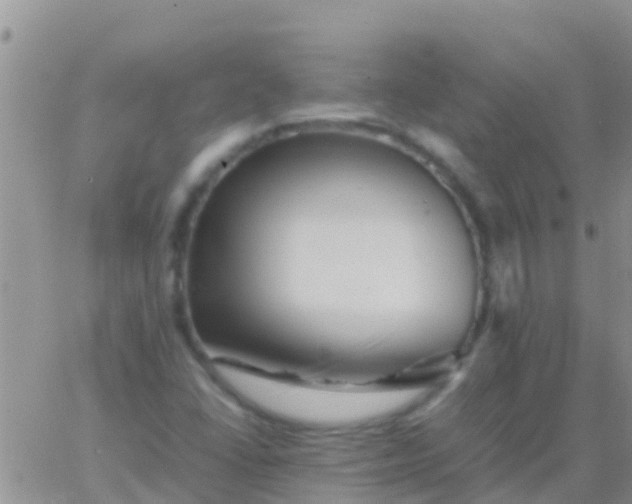 X0000065981406200603172103