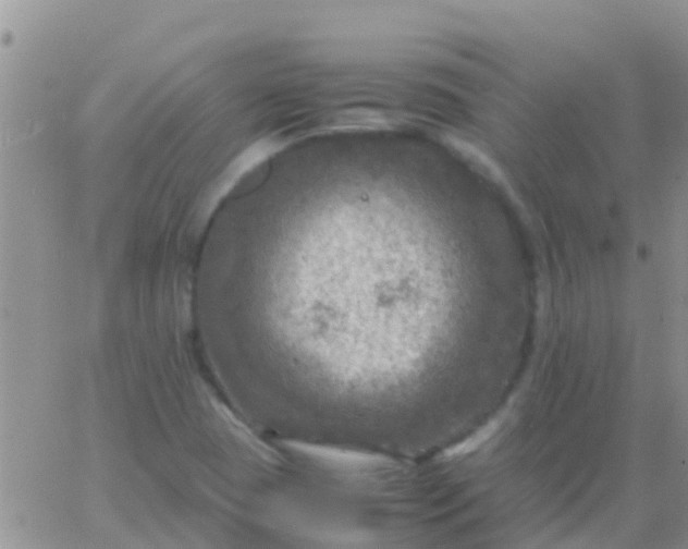 X0000065981409200603172103