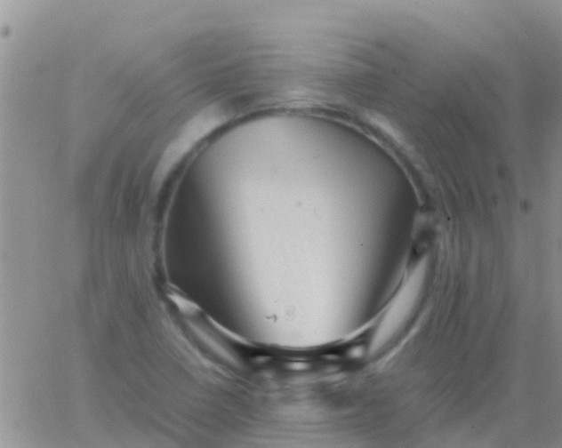 X0000065981410200603172103