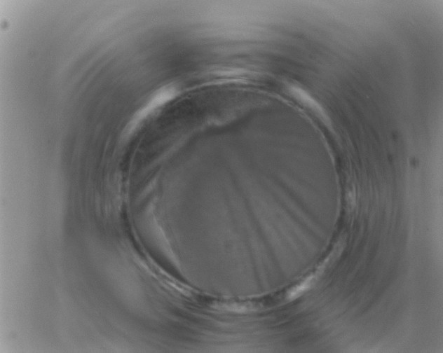 X0000065981411200603172103