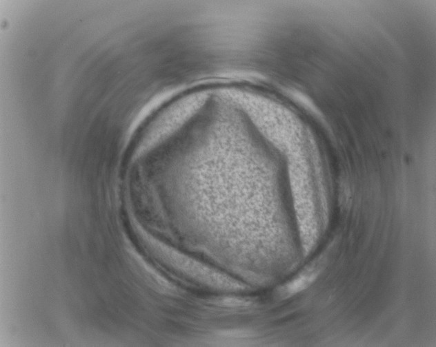 X0000065981412200603172103