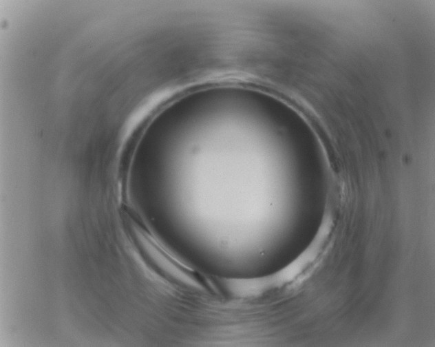 X0000065981414200603172104