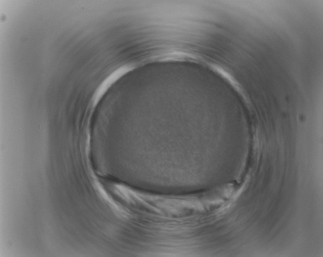 X0000065981418200603172104