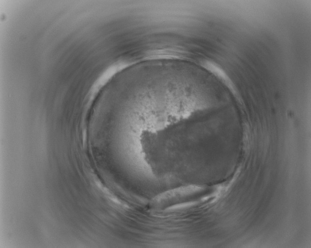 X0000065981419200603172104