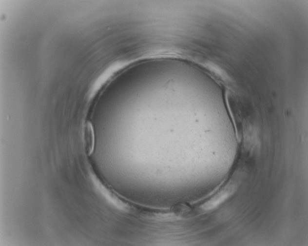 X0000065981422200603172104