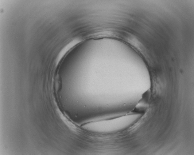 X0000065981426200603172104