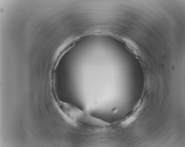 X0000065981430200603172104