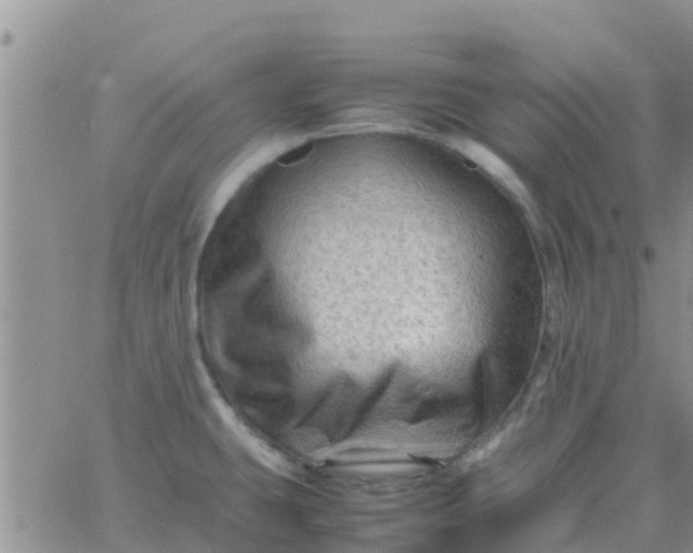 X0000065981431200603172104