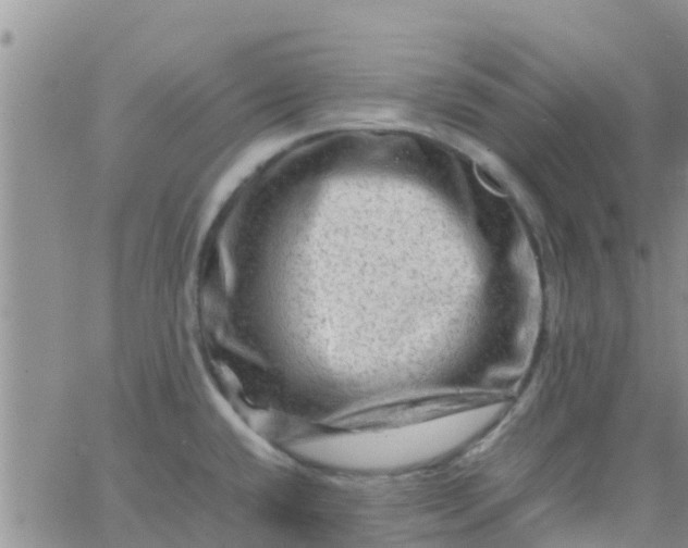 X0000065981432200603172104