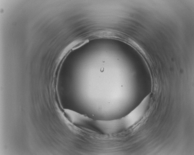 X0000065981434200603172104