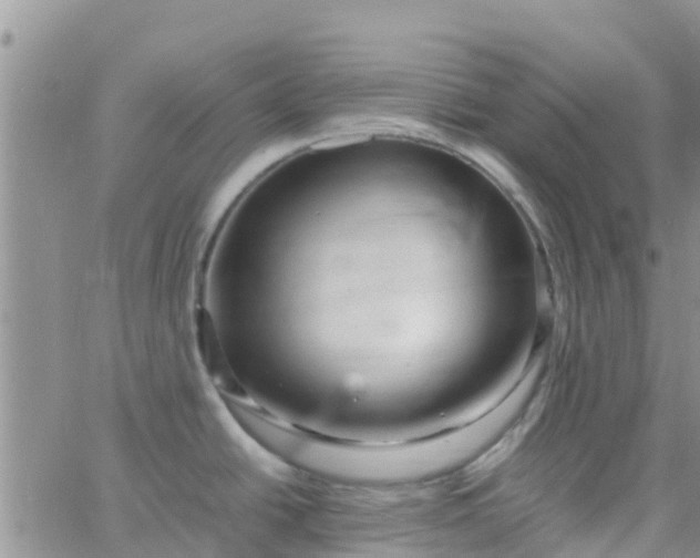 X0000065981438200603172104