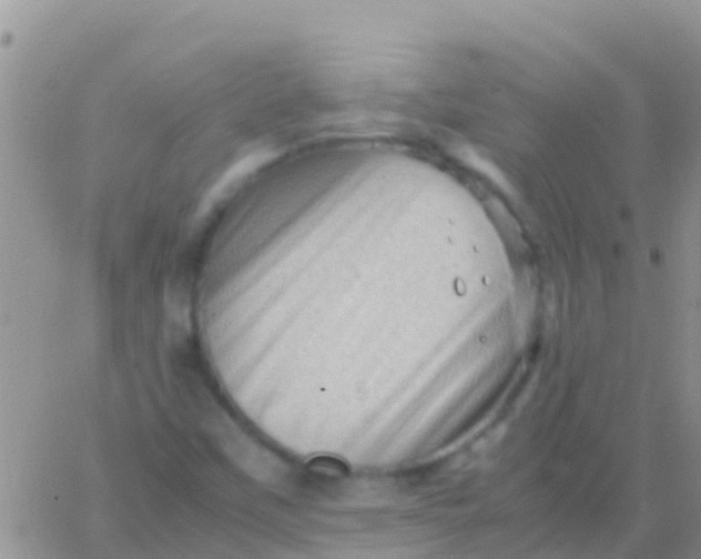 X0000065981451200603172103