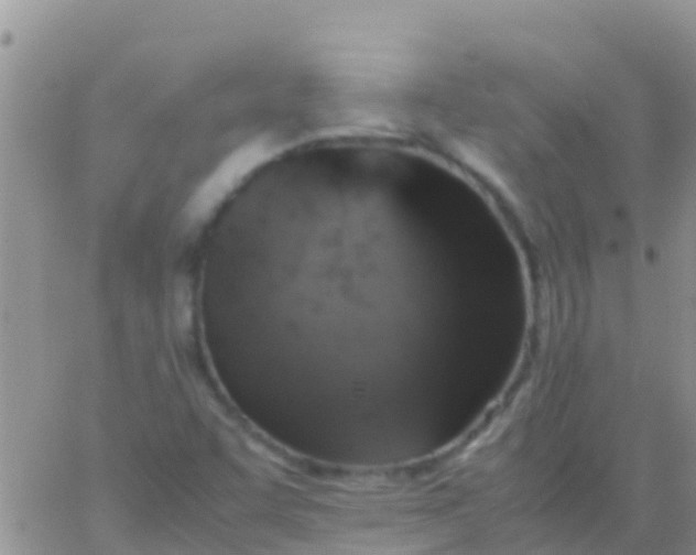 X0000065981455200603172103