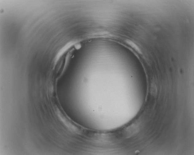 X0000065981458200603172103