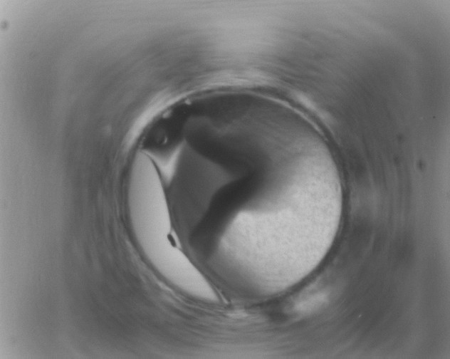 X0000065981459200603172103