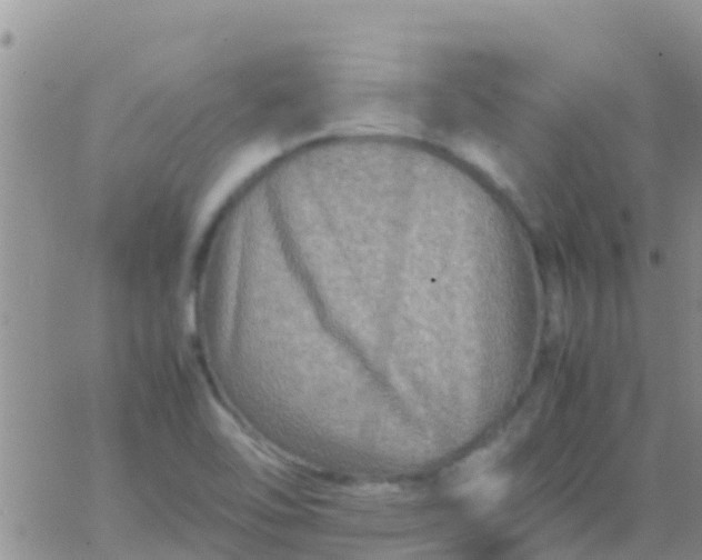 X0000065981462200603172103