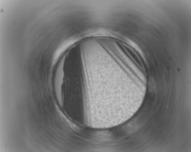 X0000065981464200603172103