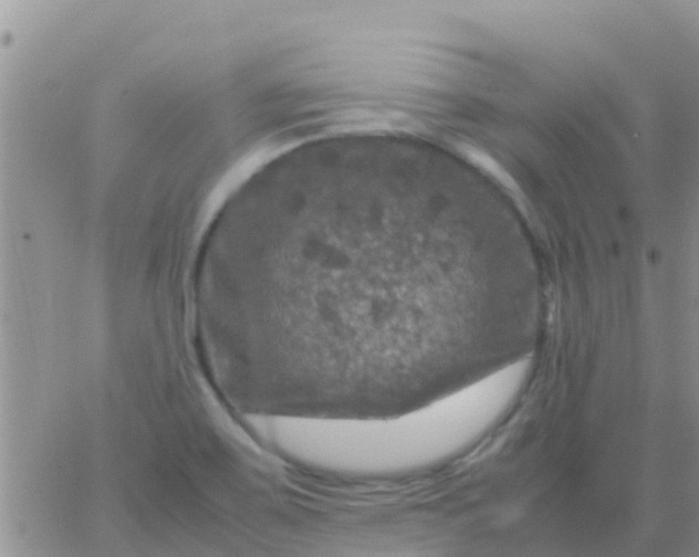 X0000065981467200603172103