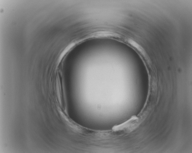 X0000065981473200603172103