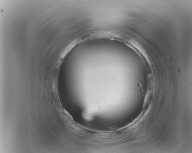 X0000065981481200603172102