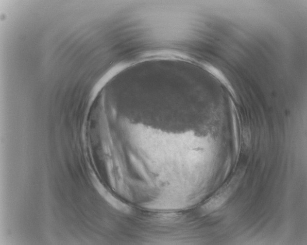 X0000065981482200603172102