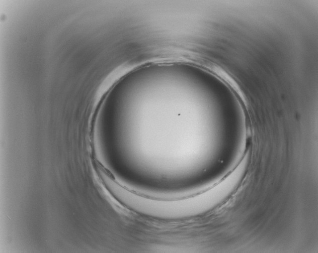 X0000065981485200603172102